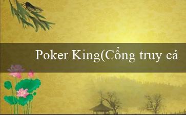 Poker King(Cổng truy cập đa dạng sự lựa chọn Vo88 ra mắt!)