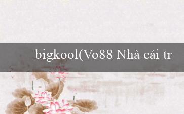bigkool(Vo88 Nhà cái trực tuyến hàng đầu Việt Nam)